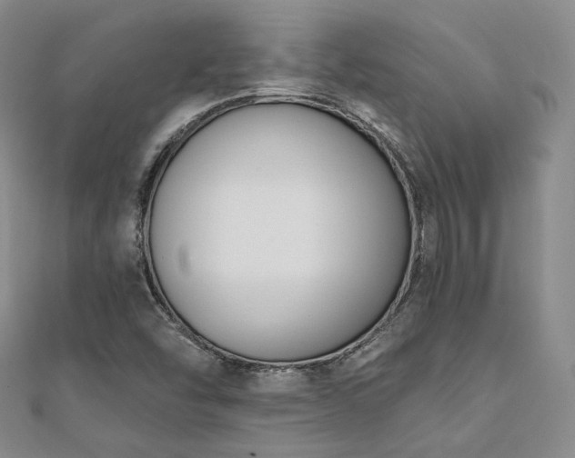 X0000110741454200906151053