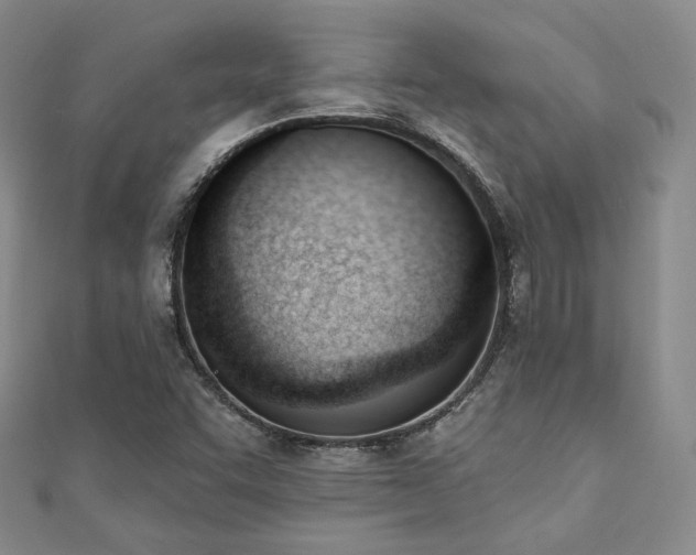 X0000110741455200906151053