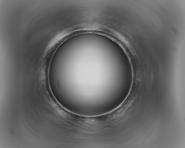X0000110741456200906151053