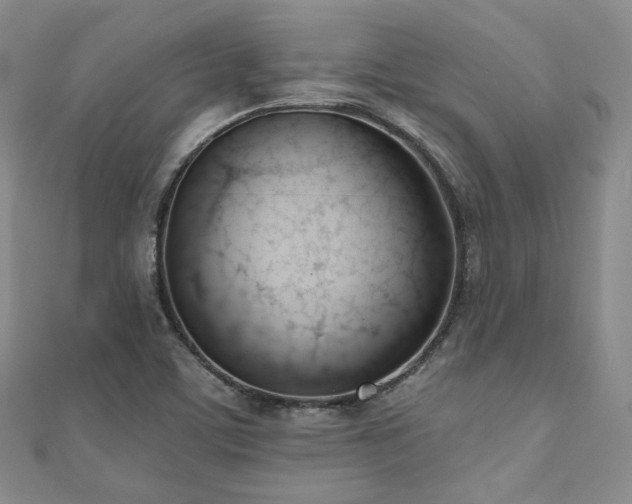 X0000110741459200906151053