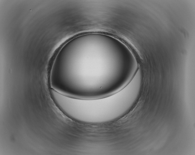 X0000110741460200906151053
