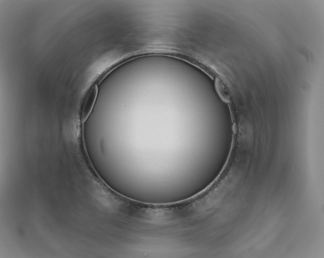 X0000110741461200906151053