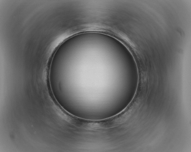 X0000110741463200906151053