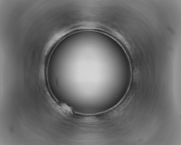 X0000110741464200906151053