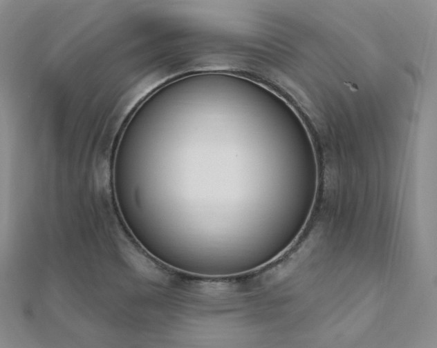 X0000110741465200906151053