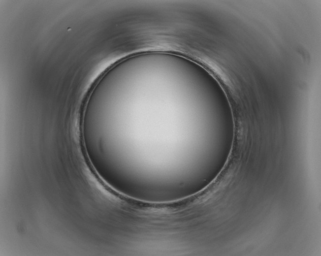 X0000110741468200906151053