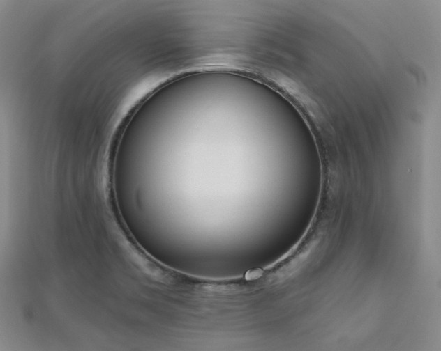X0000110741469200906151053