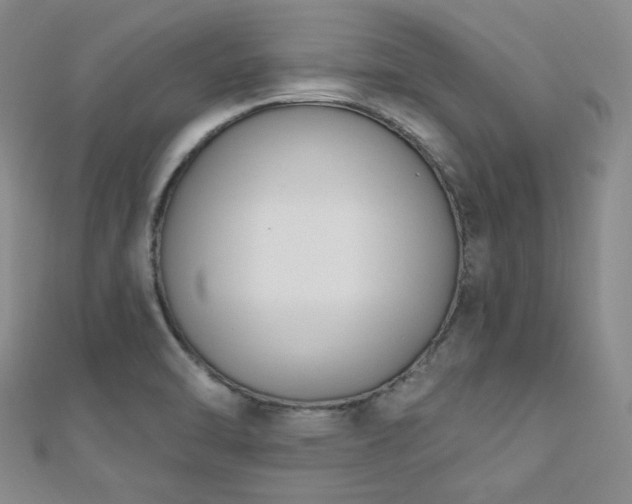 X0000110741470200906151053