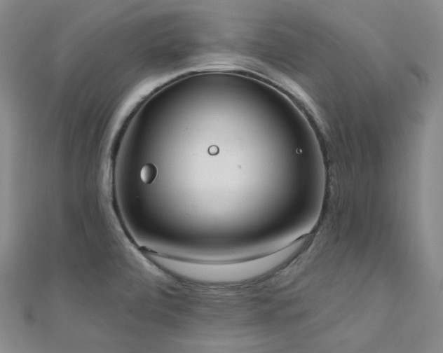 X0000110741472200906151053