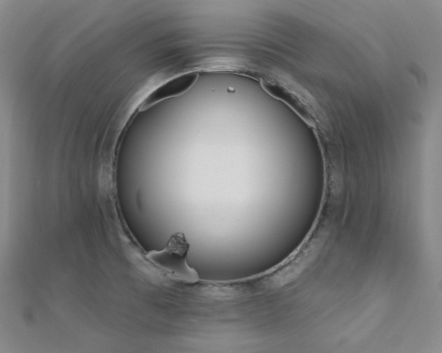 X0000110741473200906151053