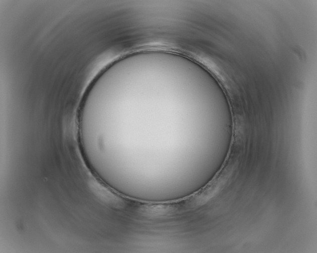 X0000110741474200906151053