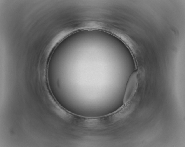 X0000110741477200906151053