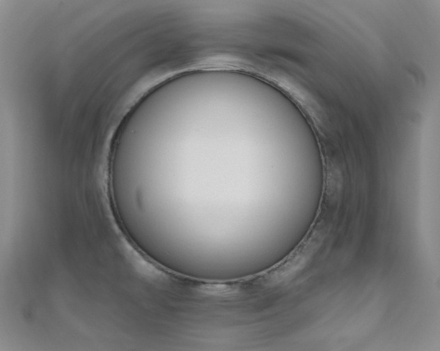 X0000110741478200906151053