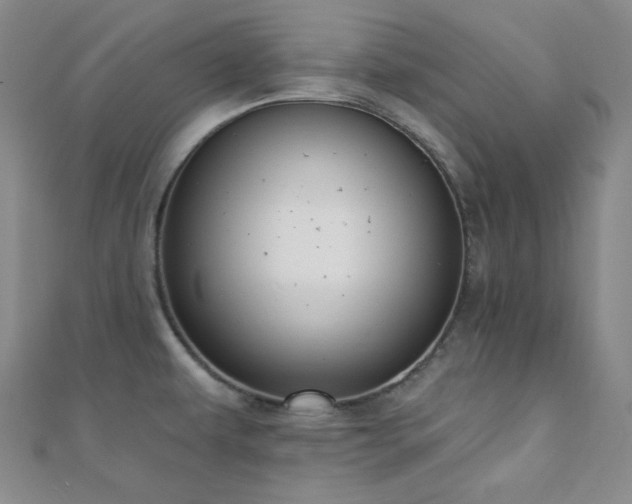 X0000110741479200906151053