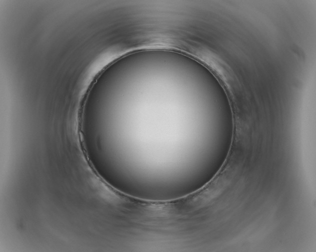 X0000110741480200906151053