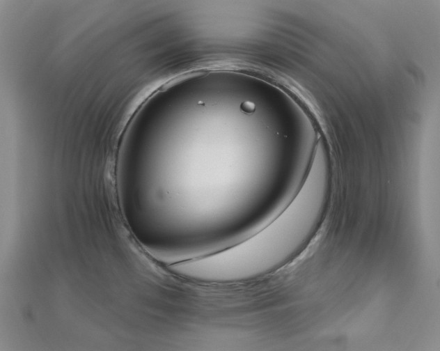 X0000110741481200906151053
