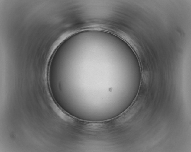 X0000110741482200906151053