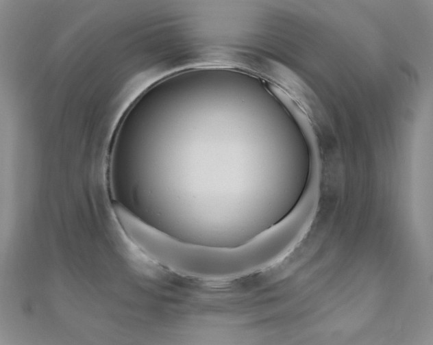 X0000110741484200906151053