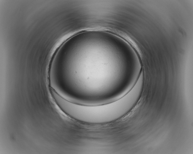 X0000110741485200906151053