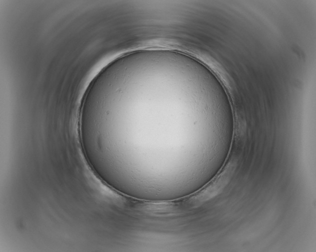 X0000110741486200906151053
