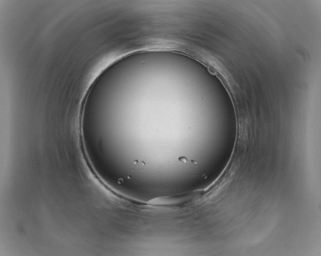 X0000110741487200906151053