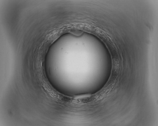 X0000110741489200906151052