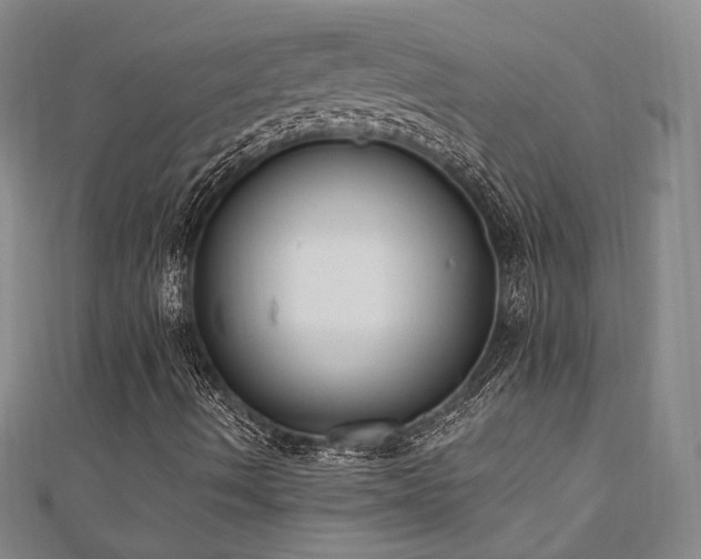 X0000110741490200906151052