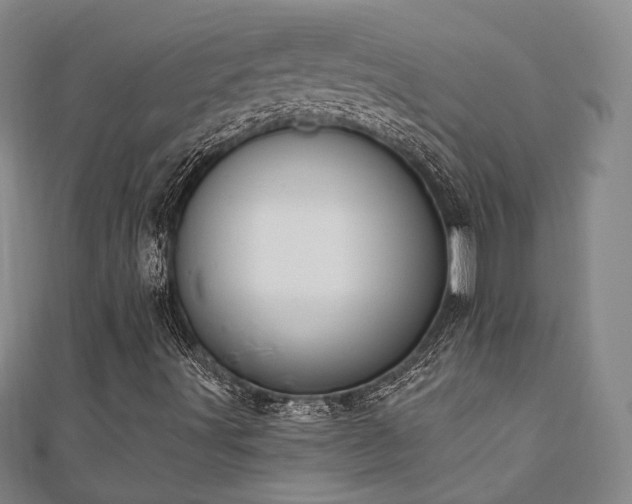 X0000110741491200906151052