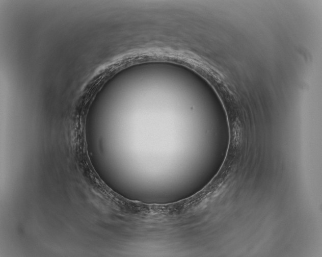X0000110741494200906151052