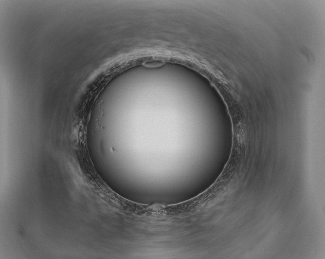 X0000110741495200906151052
