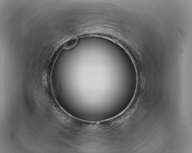 X0000110741497200906151052