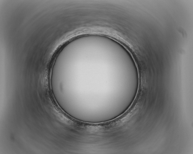 X0000110741498200906151052