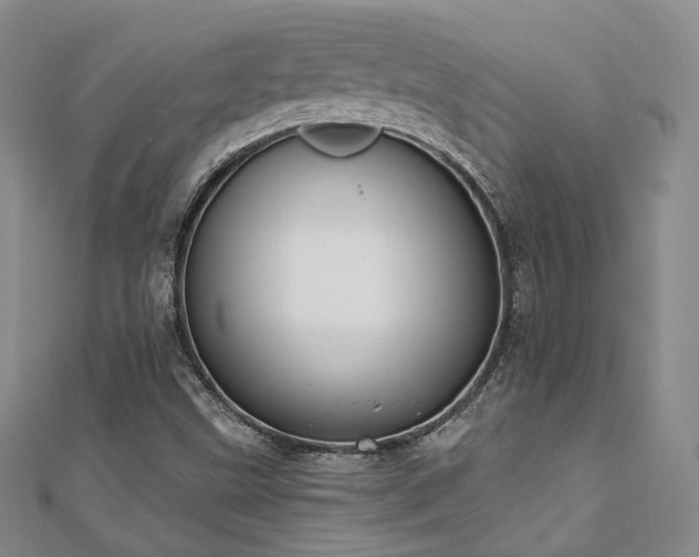 X0000110741499200906151052