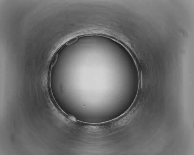 X0000110741500200906151052