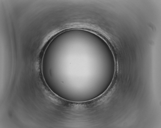 X0000110741501200906151052
