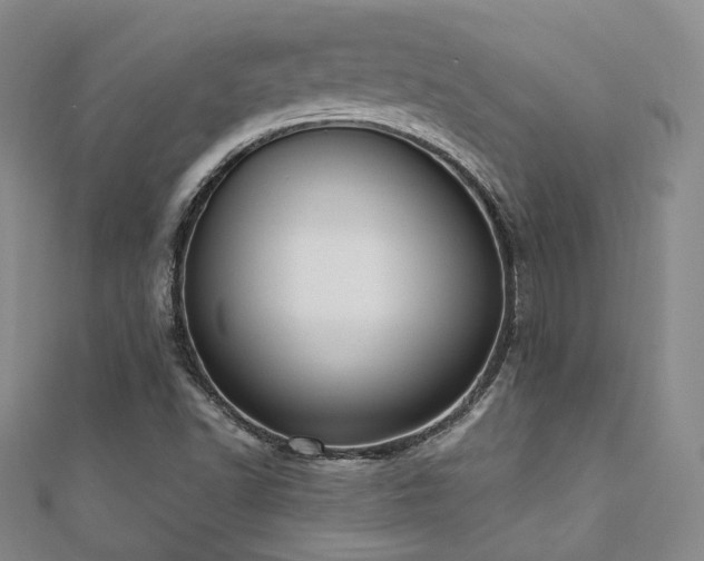 X0000110741502200906151052