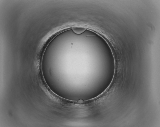 X0000110741503200906151052