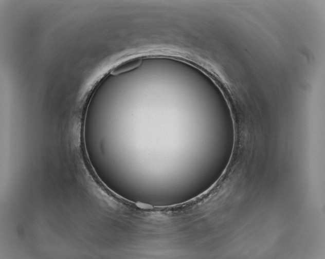 X0000110741504200906151052