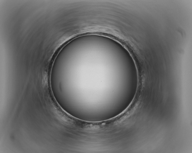 X0000110741505200906151052