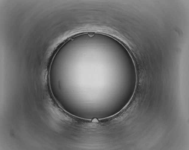 X0000110741507200906151052