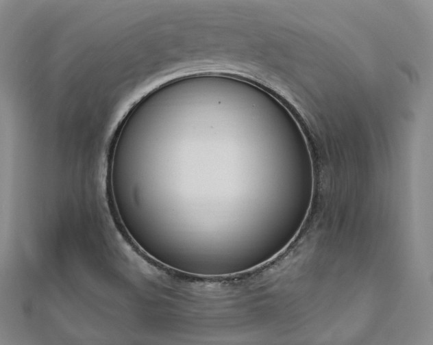 X0000110741508200906151052