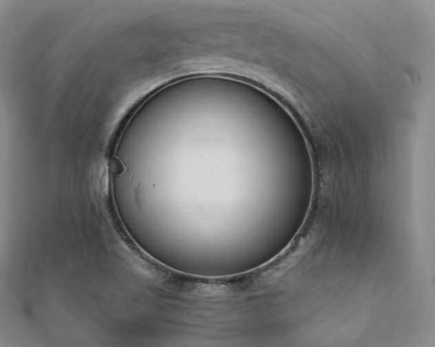 X0000110741509200906151052