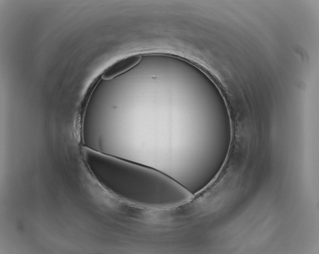 X0000110741510200906151052