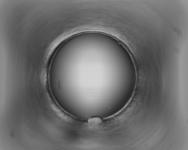X0000110741511200906151052