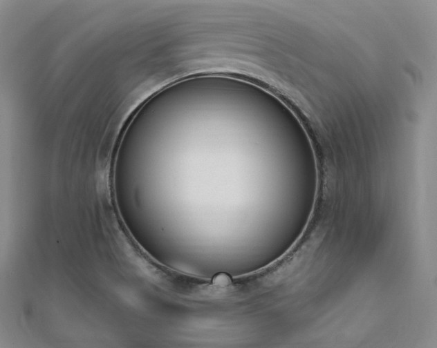 X0000110741513200906151052