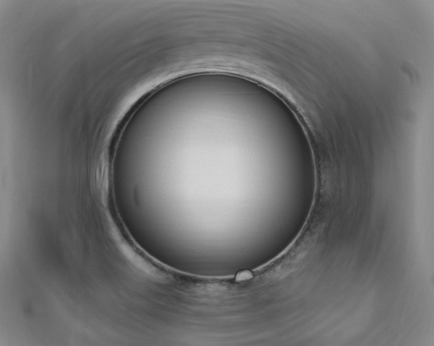 X0000110741515200906151052