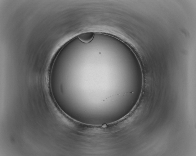 X0000110741517200906151053