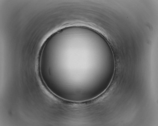 X0000110741518200906151053