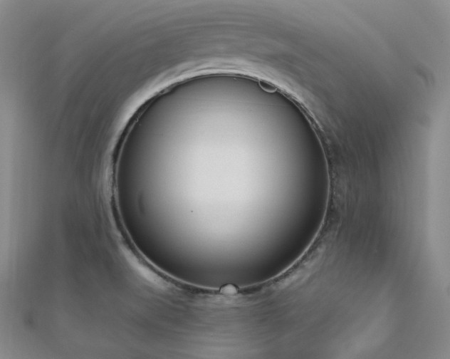 X0000110741519200906151053