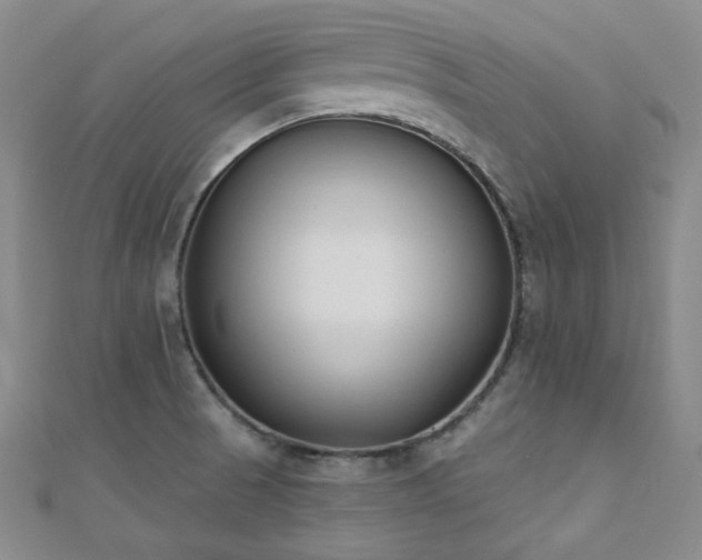 X0000110741521200906151053